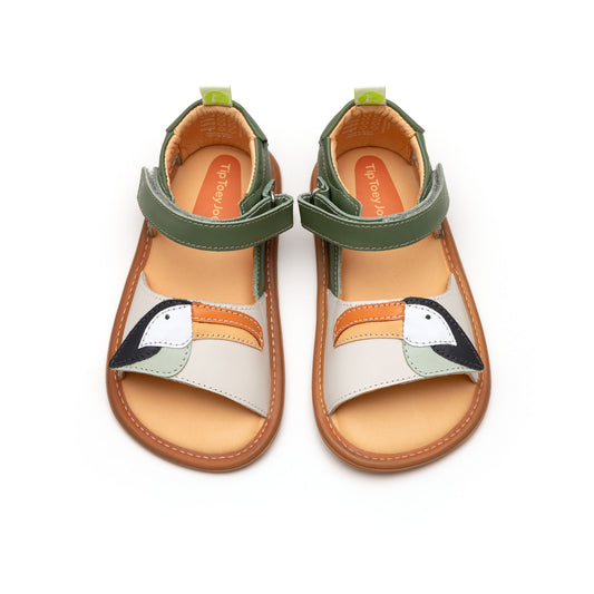 Tip Toey Joey - Toucan