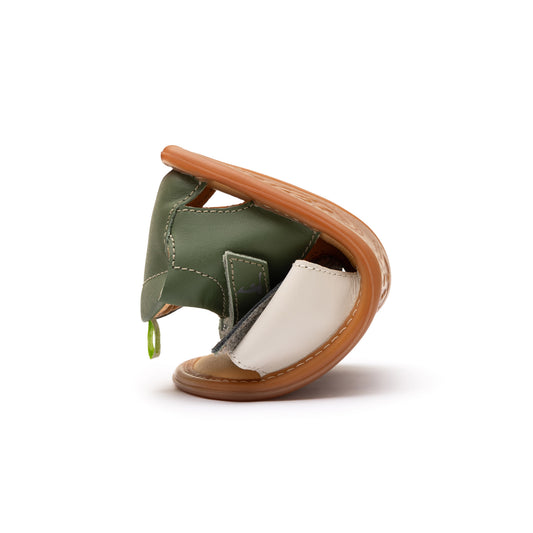 Tip Toey Joey - Toucan