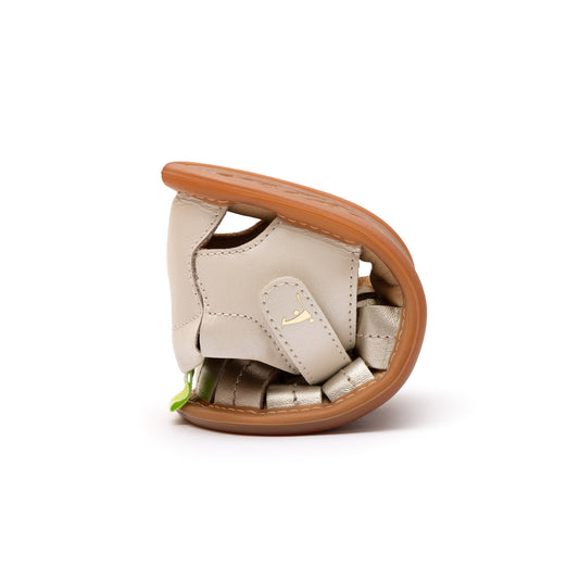 Tip Toey Joey - Tropically